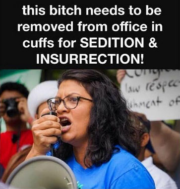 tlaib18