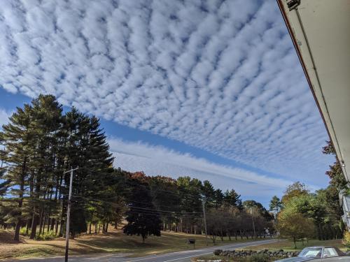 c0005af1-aa62-4cdc-80c1-76f6babe3ca4