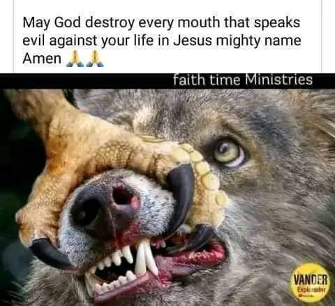 FB_IMG_1697190227324