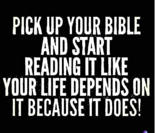 FB_IMG_1697144502680