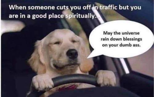 FB_IMG_1697630279210