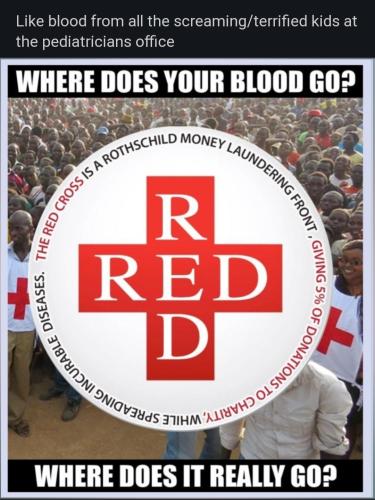 Screenshot_20231015_134258_Chrome