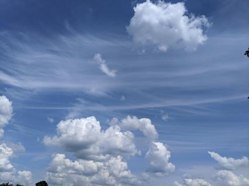 0b49b6e3-2ec3-4535-981e-5f1ac2246700