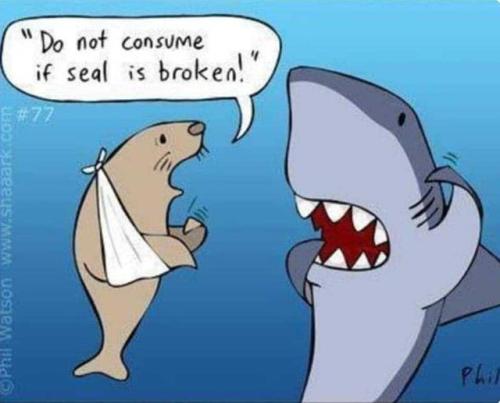 387160131_1926403811093849_6358644583356699621_n