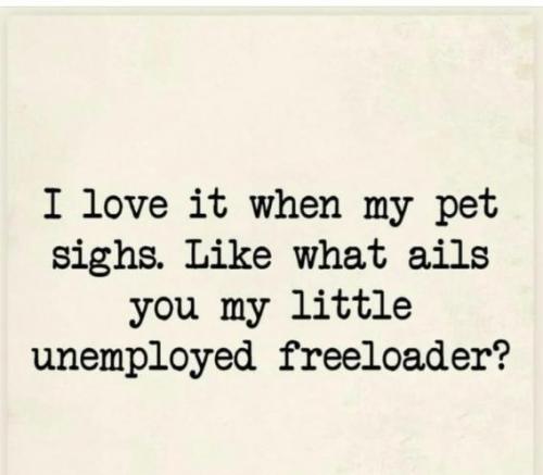 b78f308a4a6d9272 (1)