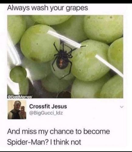 Screenshot_20231019_120243_Photos