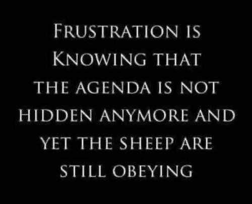 FB_IMG_1696432032972