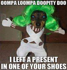 FB_IMG_1697634523178