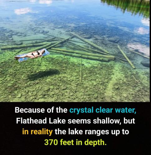 FB_IMG_1697503741377