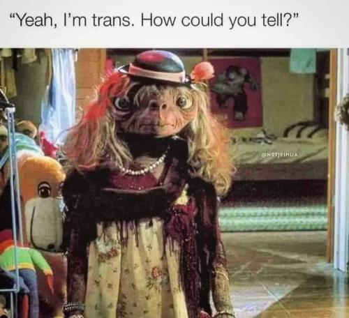 FB_IMG_1696161067286