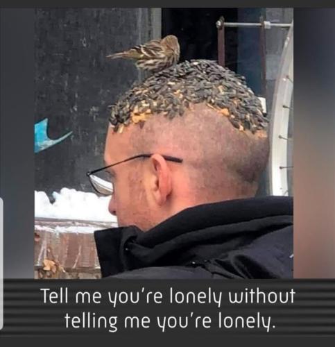 Screenshot_20231017-142309_MeWe