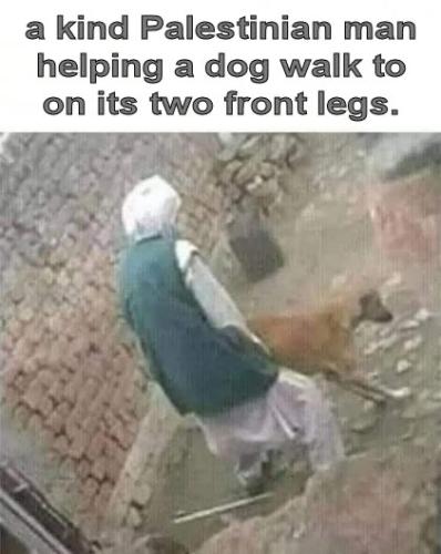 16:08:26 GMT-0500 (Central Daylight Time).image