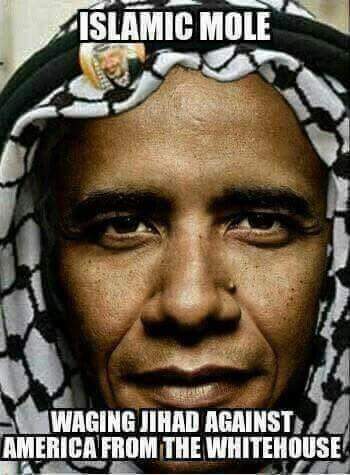 13406934_10207926773859849_3102761879055335182_n