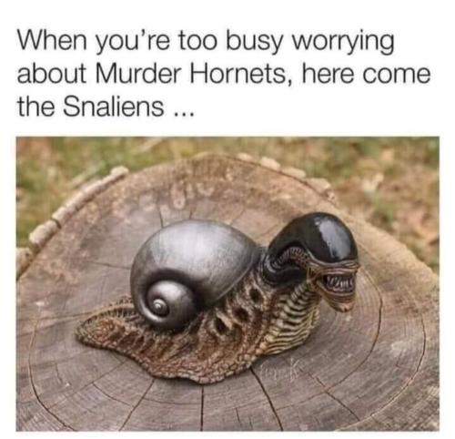 Screenshot_20231029_132726_MeWe