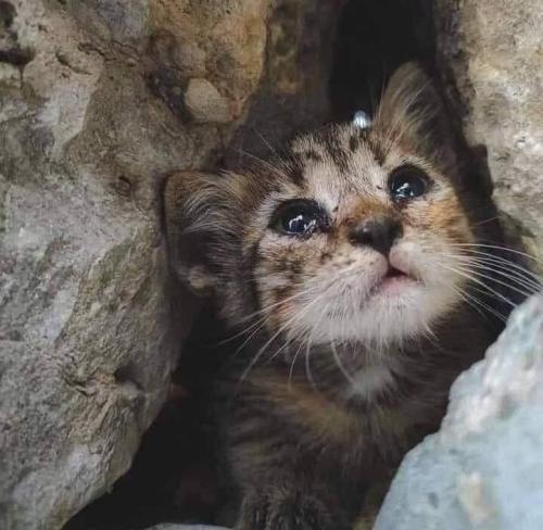 IMG_20231030_092100_862