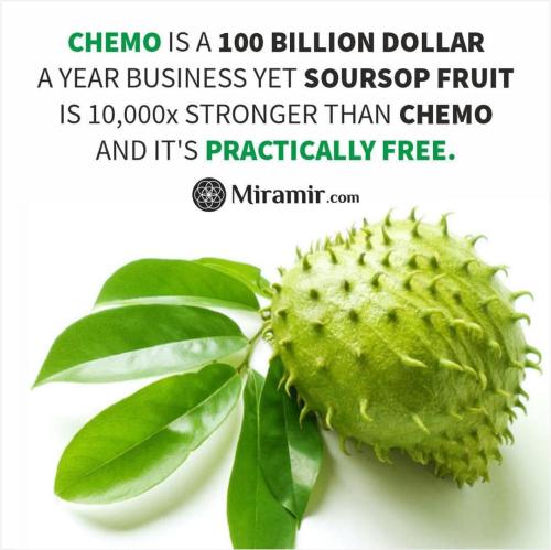 Soursop vs chemo