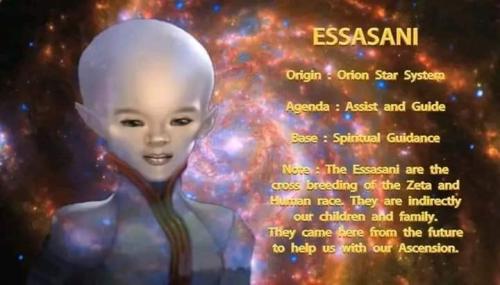 .      312971958_11556576453