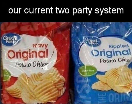 our current two party system