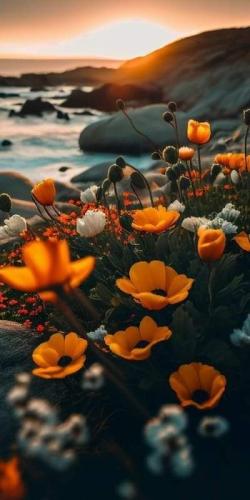 FB_IMG_1696102415465
