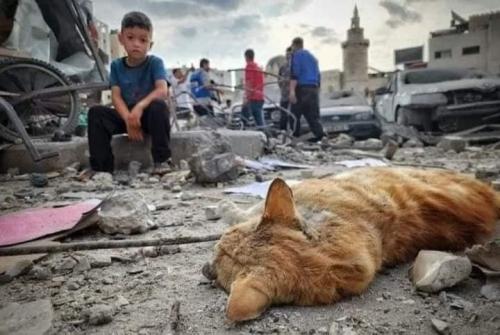 IMG_20231030_092058_154