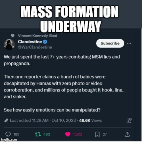 Mass Formation Hamas 1