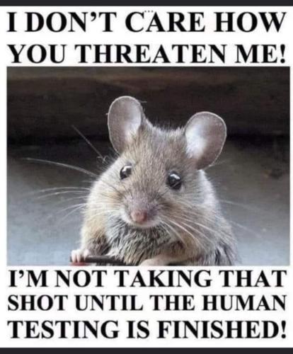 Screenshot_20231010_203910_Facebook