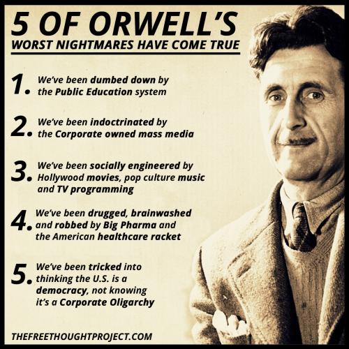 391718144_724161273084345_5322044250898560167_n