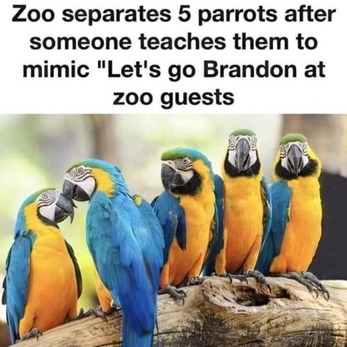 FB_IMG_1697038666871