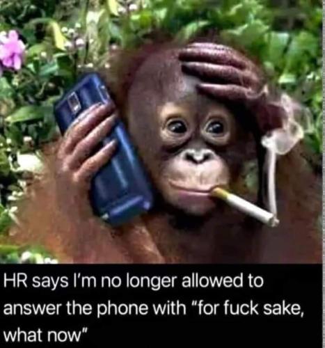 FB_IMG_1698265907416