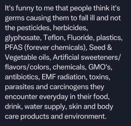 photo_2023-10-25_23-04-10