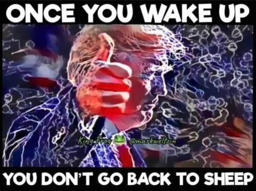 IMG_20231022_042513_700