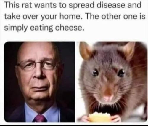 FB_IMG_1696370747461