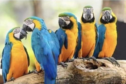 c4dca30e-bde2-4137-96b7-3bffaab97e0f