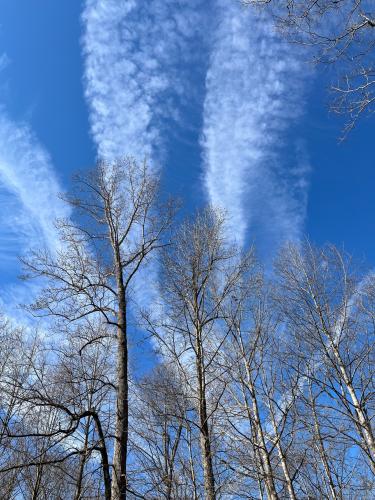 a1b962b1-a44e-4a4e-b16a-c0e9091127d7