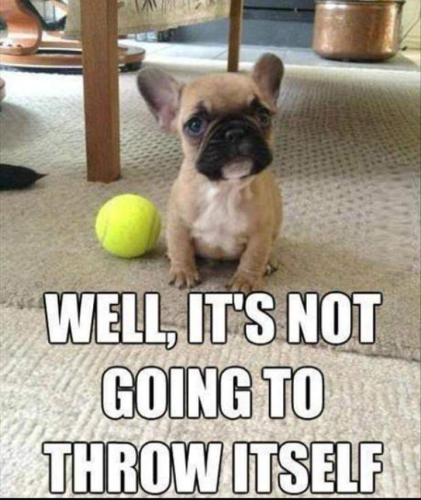 Screenshot_20231010-201957~2