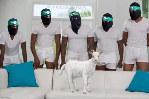 FB_IMG_1698686202160