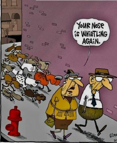 FB_IMG_1696169395411