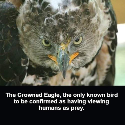 FB_IMG_1697575656574