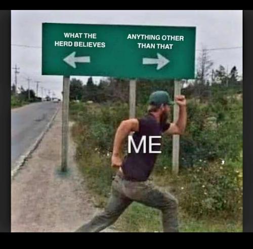 Screenshot_20231019_123218_Photos