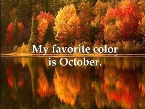 FB_IMG_1696158302260