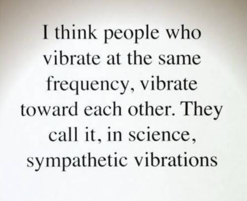 Screenshot_20231026_000017_YouTube