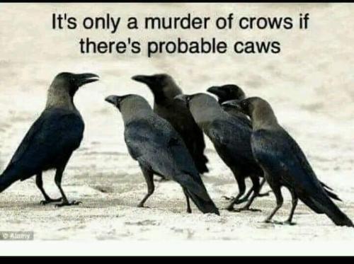 FB_IMG_1697362221606