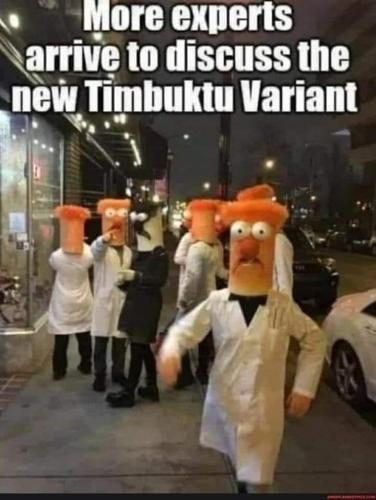 FB_IMG_1696384892346