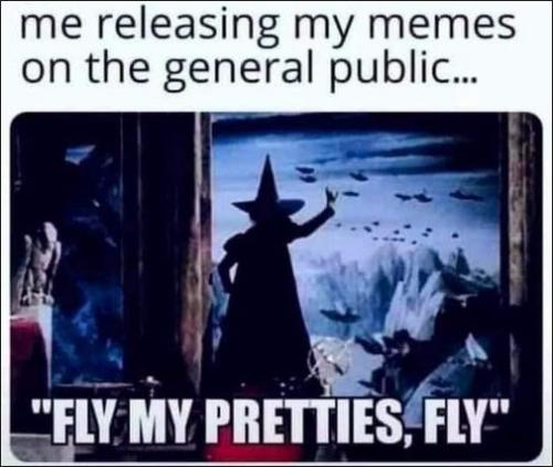 me releasing my memes to the general public