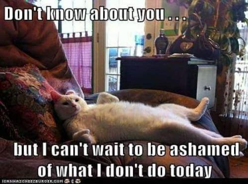 FB_IMG_1698066129950