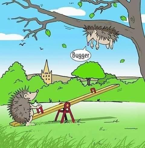 FB_IMG_1697464970064