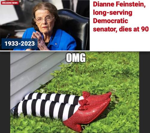 FB_IMG_1695999230726