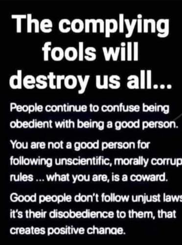 FB_IMG_1696536319998