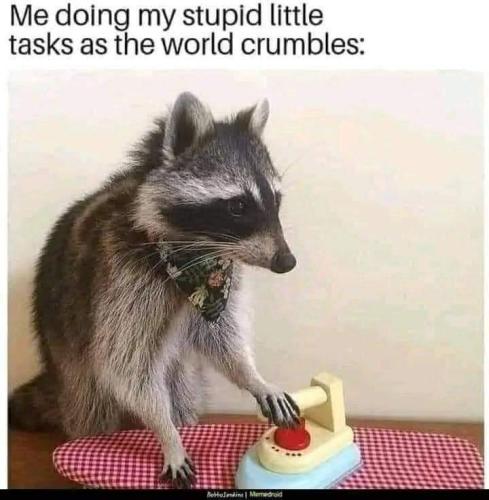 FB_IMG_1697011056822