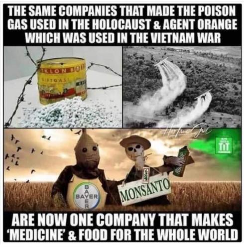 FB_IMG_1698067453407